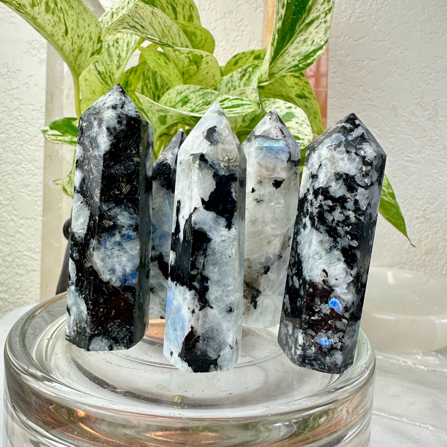 Rainbow Moonstone Points — 2.6–3.1 inches
Intuition | Protection | Emotional Balance