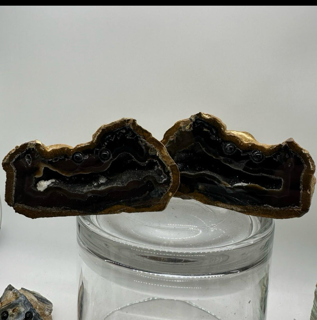 Crystal Critters- Geodes