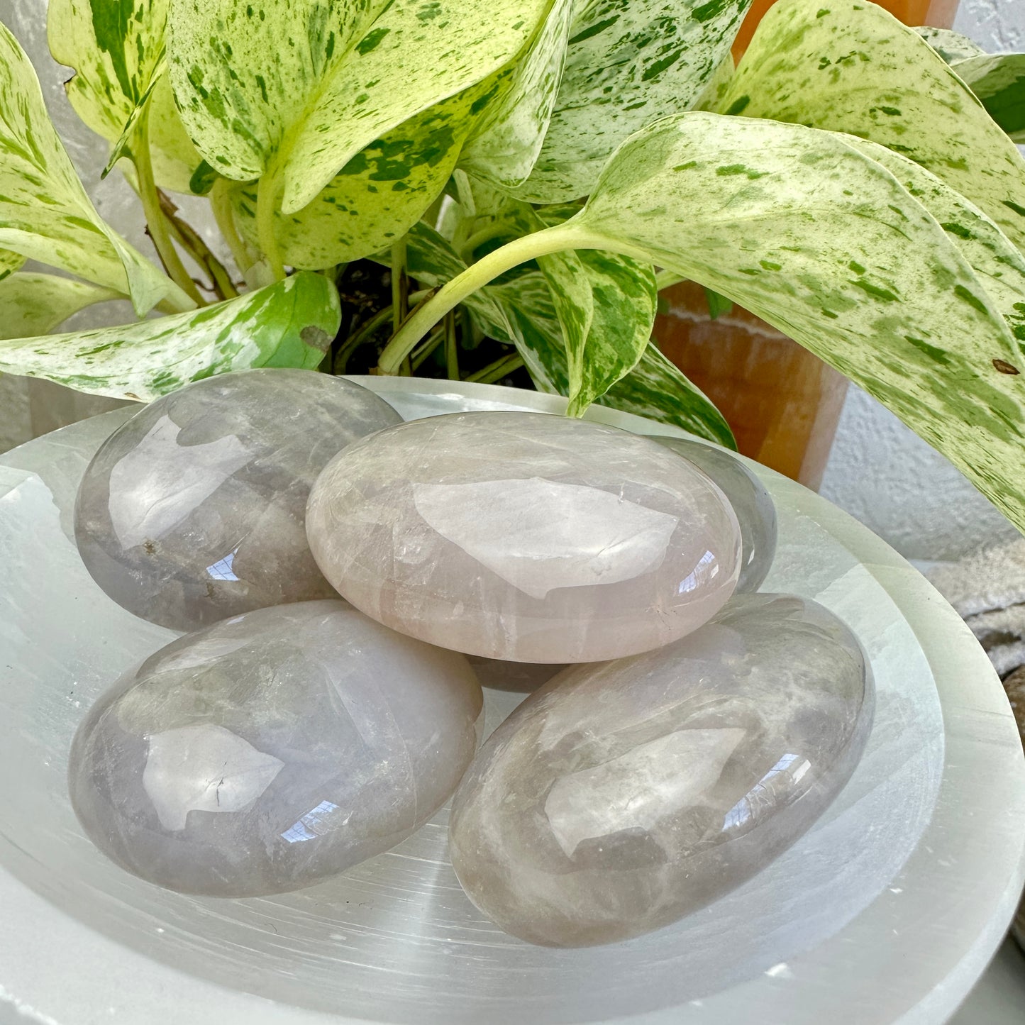 Blue Rose Quartz Palm Stones