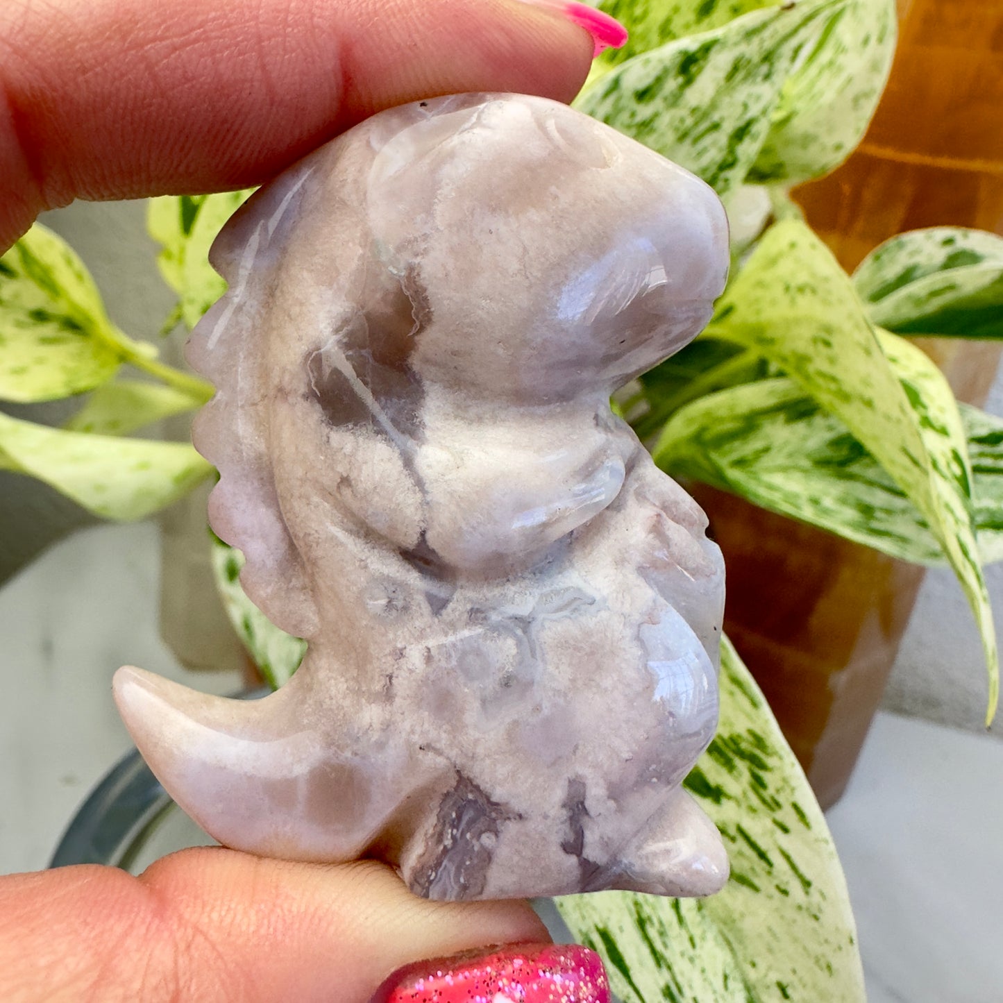 Flower Agate Dino
