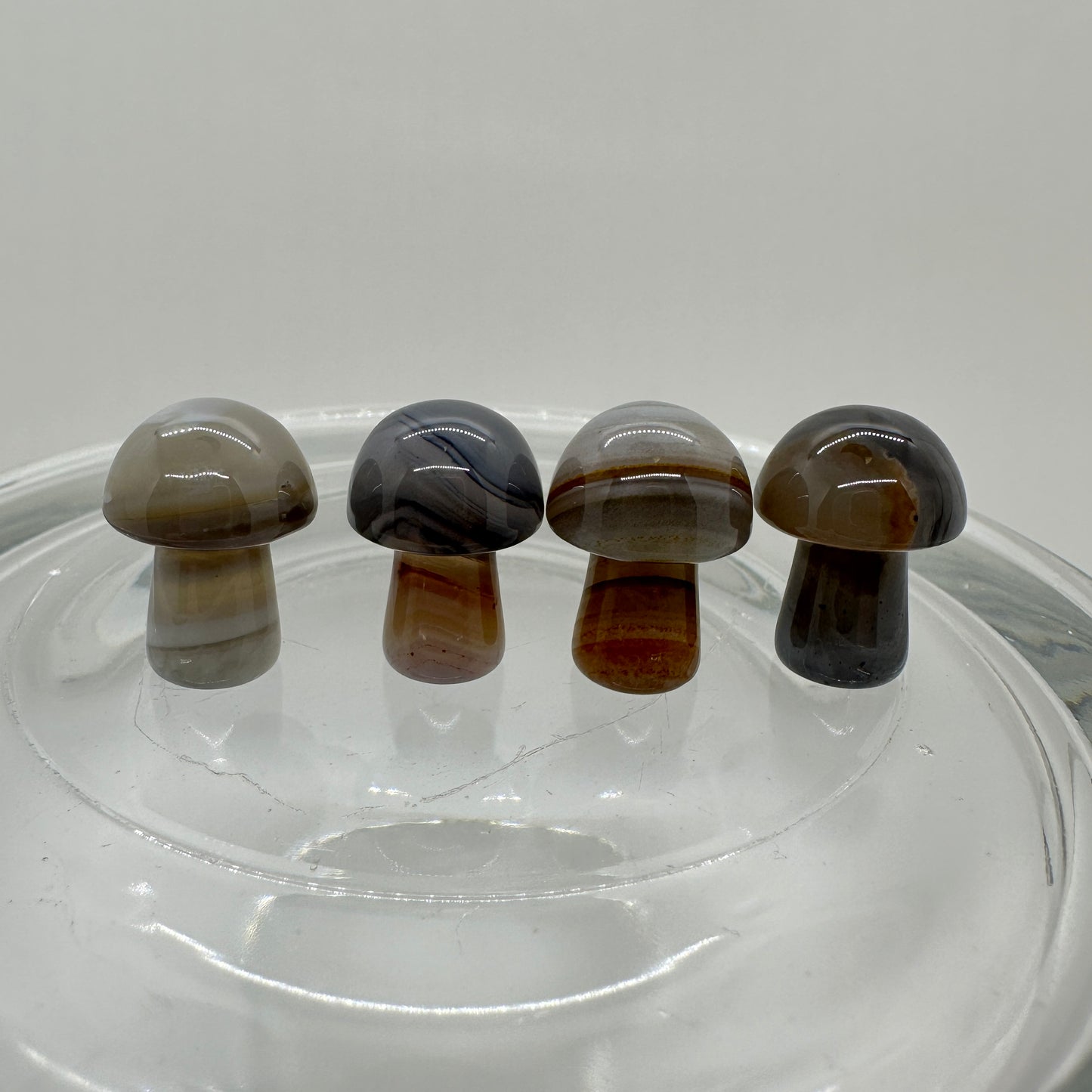 Mini Musbrooms - Crazy Lace - Agate - Flower Agate - Katie's Mystic Crystals