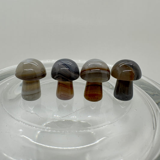 Mini Musbrooms - Crazy Lace - Agate - Flower Agate - Katie's Mystic Crystals