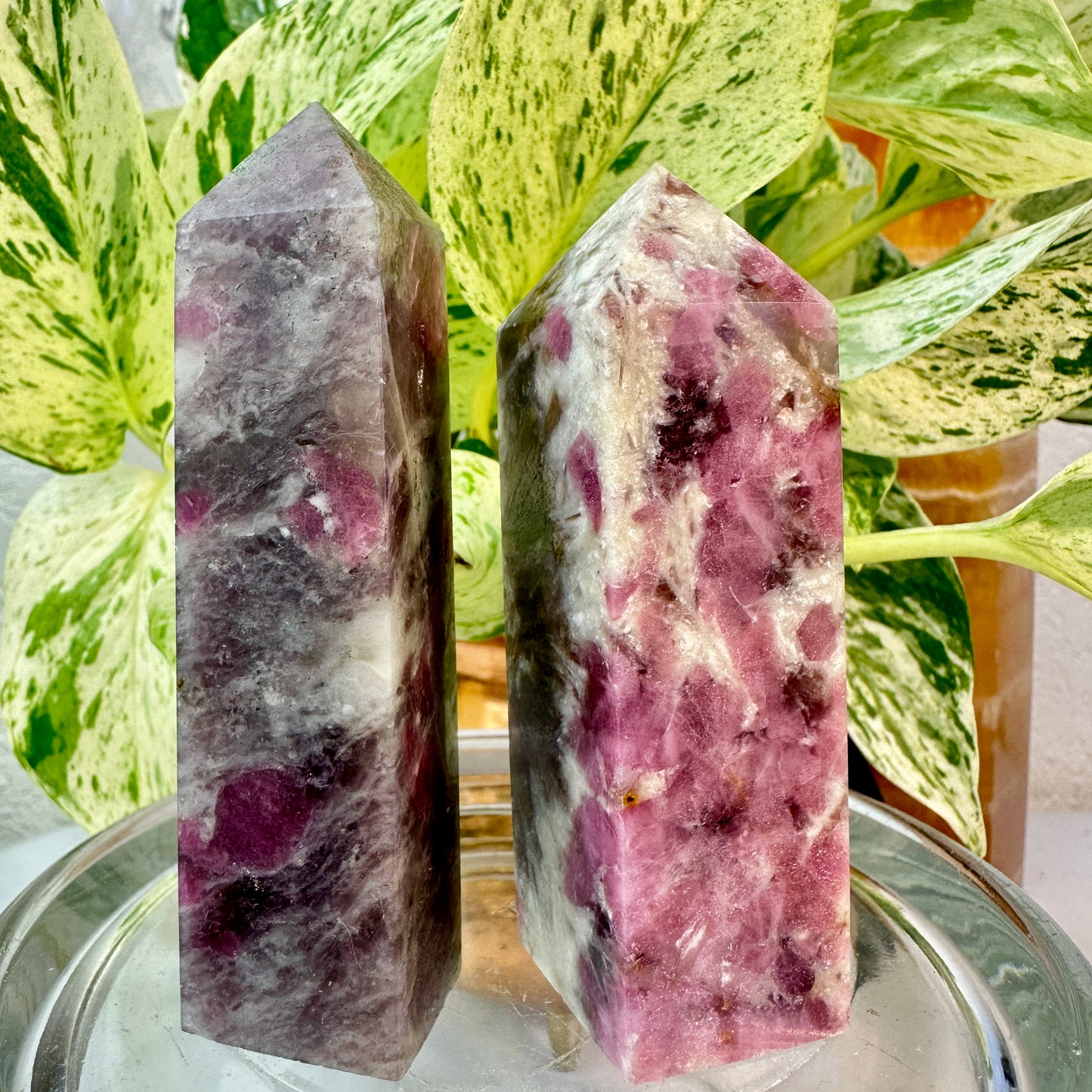 Unicorn Stone Points
✨ Emotional Healing | Inner Magic | Nurturing Support ✨