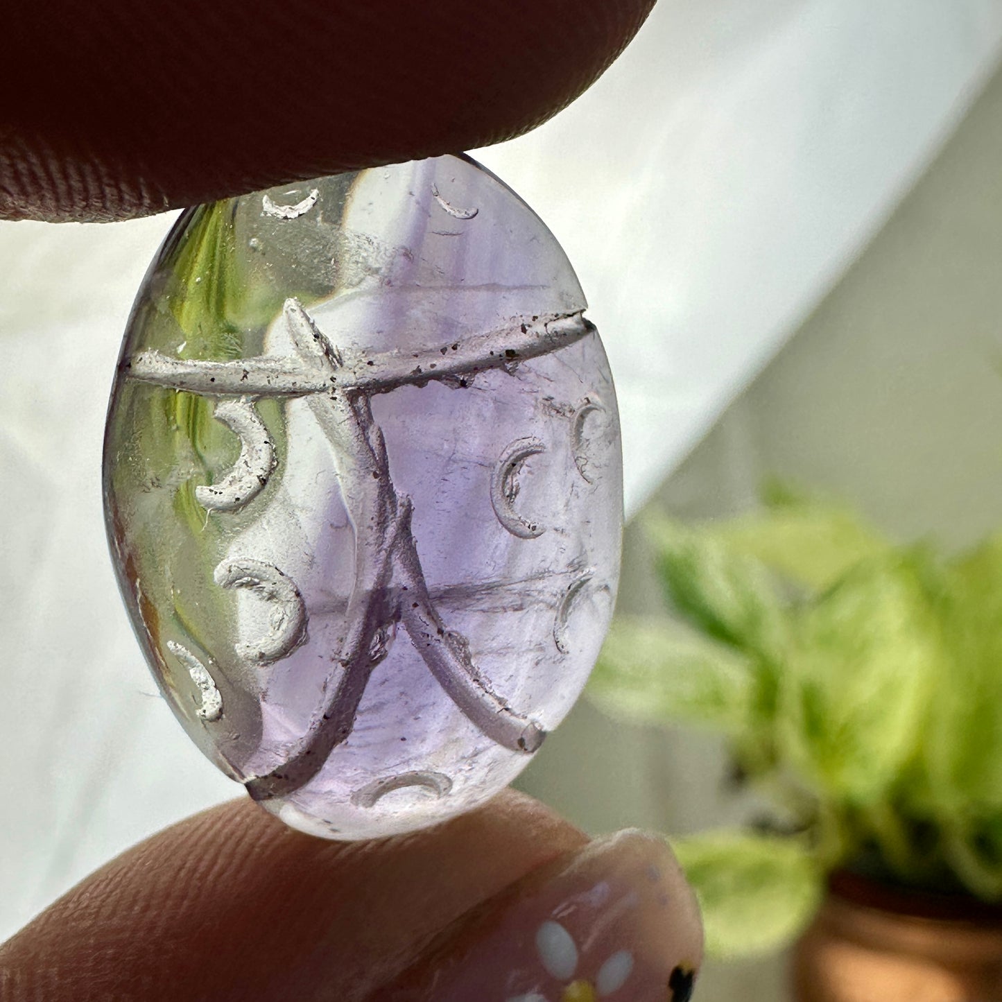 Imperfect Amethyst Lady Bugs