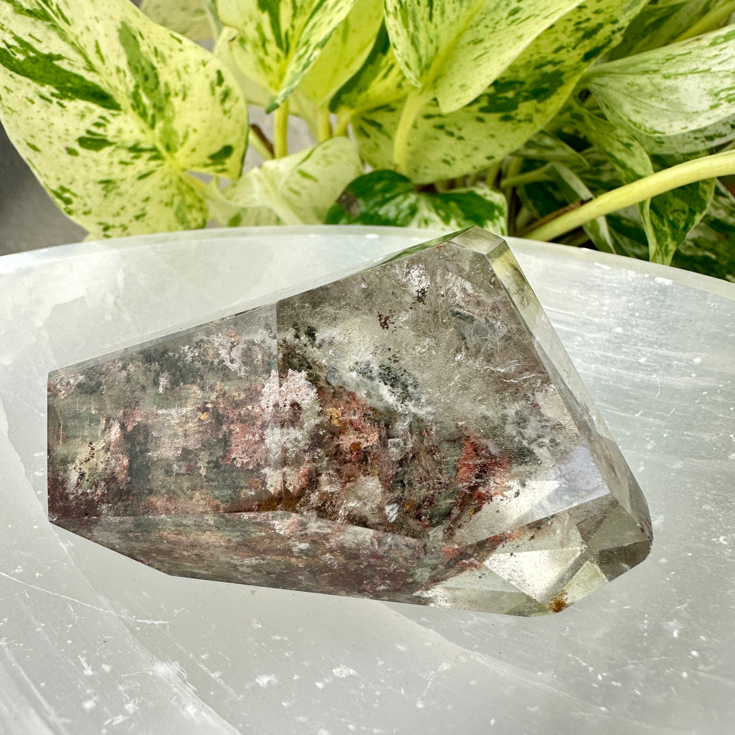 Garden Quartz Freeform — 2.8 inches
Past-Life Recall | Earth Wisdom | Visionary Growth