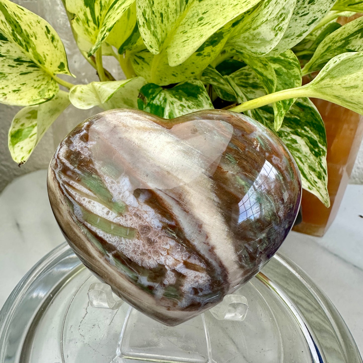 Petrified Wood Heart 6.9oz