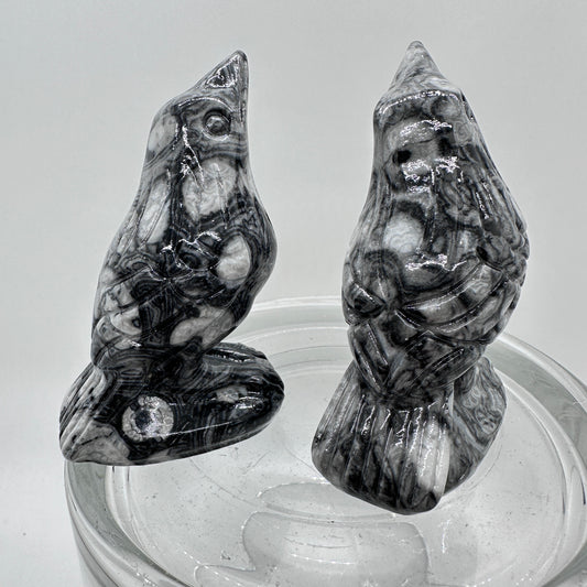 Criniod Fossil Baby Crow