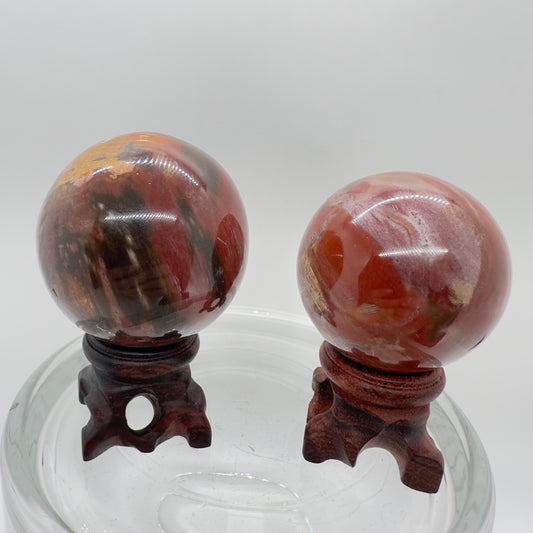 Petrified Wood Spheres - Katie's Mystic Crystals