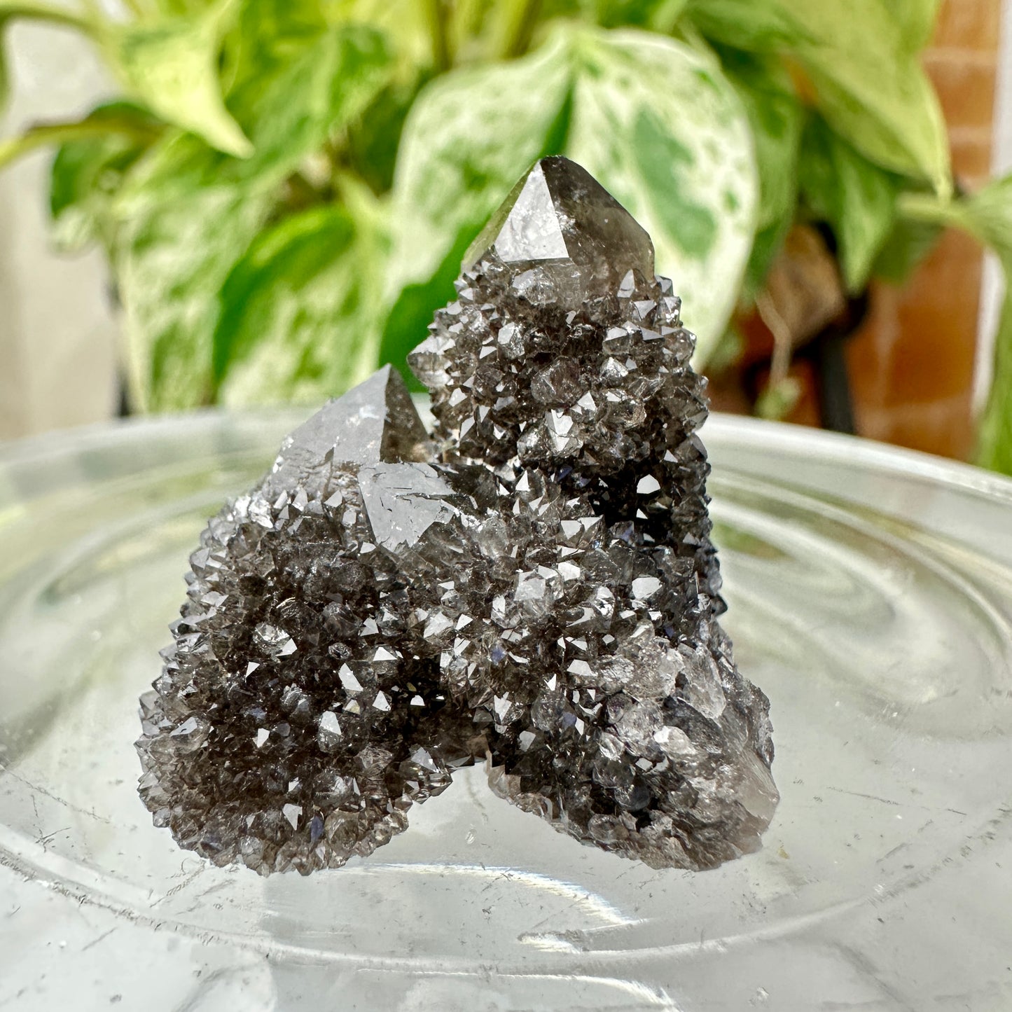 Smoky Spirit Quartz Clusters – Ethereal Light + Protective Energy (A: 20g | B: 16g)