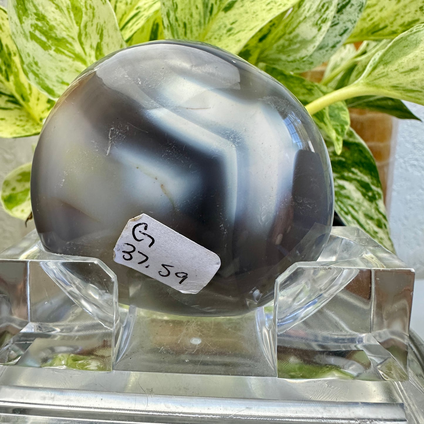 Orca Agate Palm Stone (G)