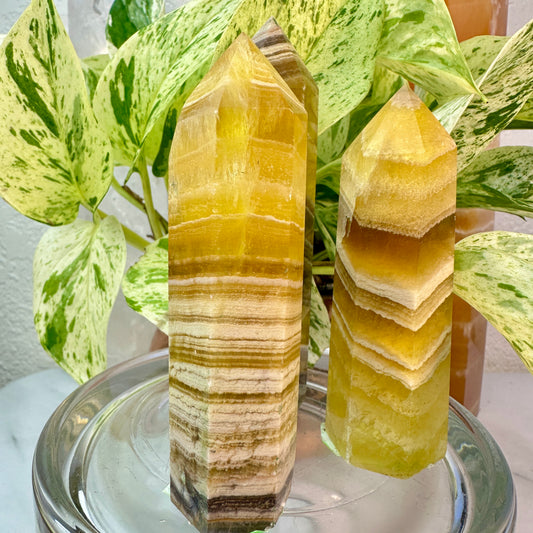 Banded Yellow Fluorite Points — 3.5 to 4 inch
Confidence | Focus | Mental Clarity