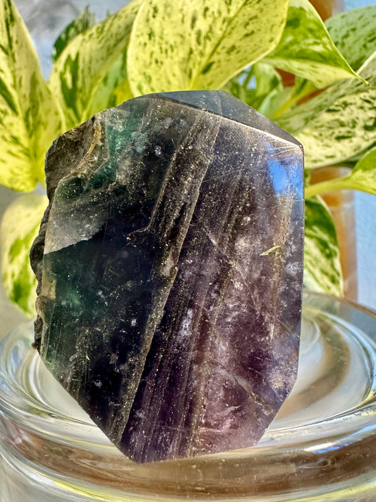 Pyrite in Fluorite Raw Edge Tower — D
2.3 in tall × 1.7 in wide × 0.9 in thick | 5 oz
Focus | Protection | Abundance Mindset - Katie's Mystic Crystals