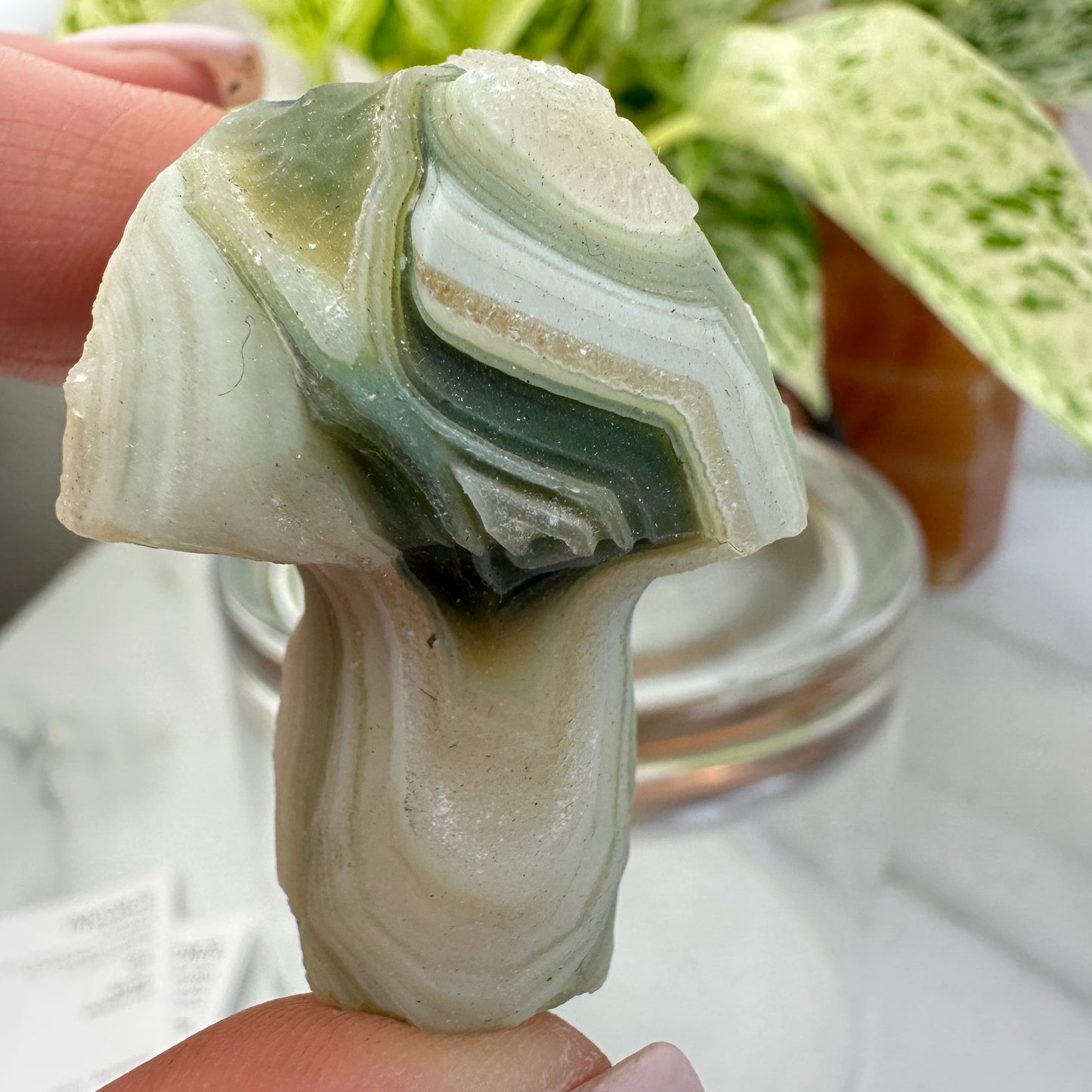 Gobbi Agate Mushroom
Stability | Inner Strength | Ancient Earth Energy