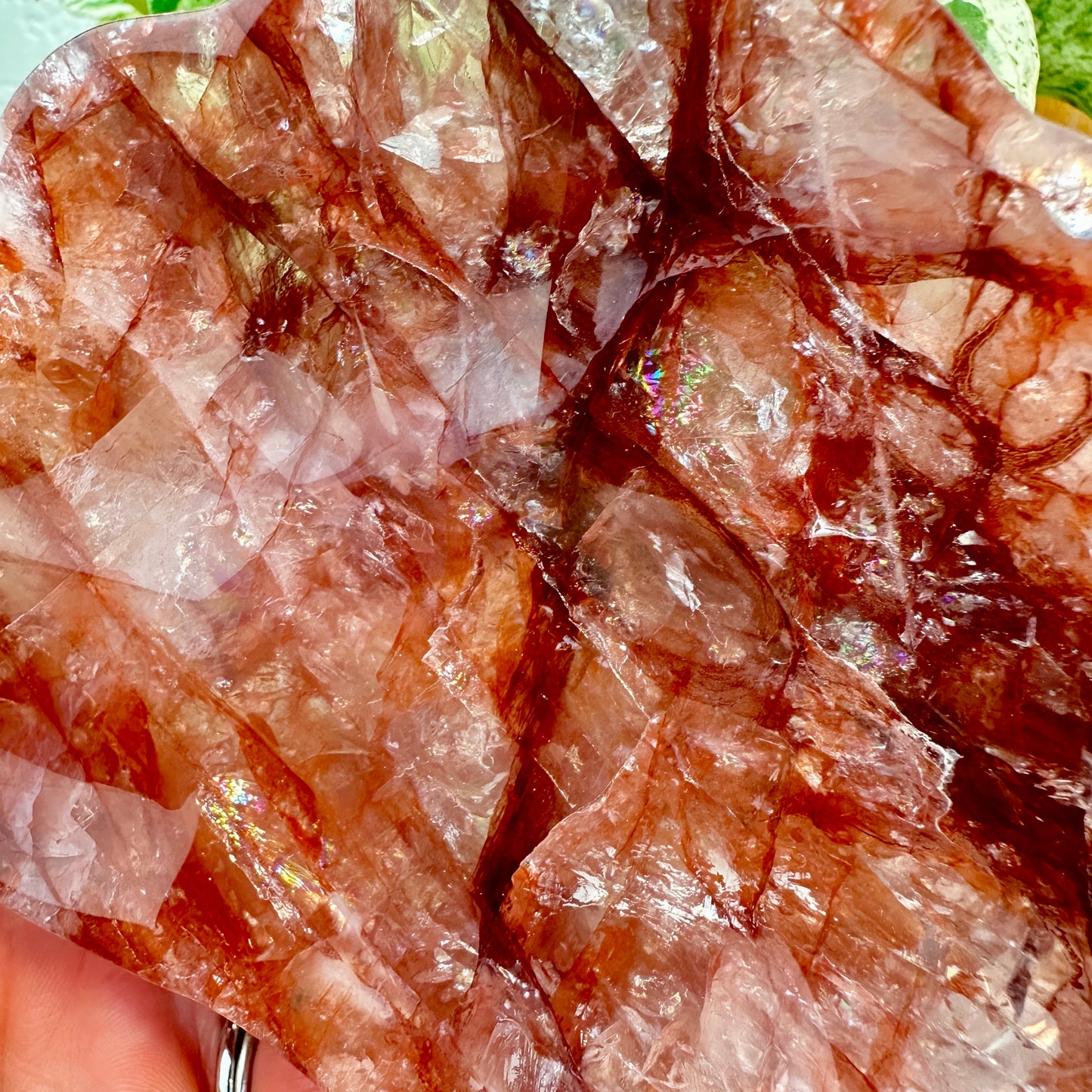 Fire Quartz Seashell-Shaped Dish — Approx. 4 inches Wide
Vitality | Clarity | Emotional Alchemy
