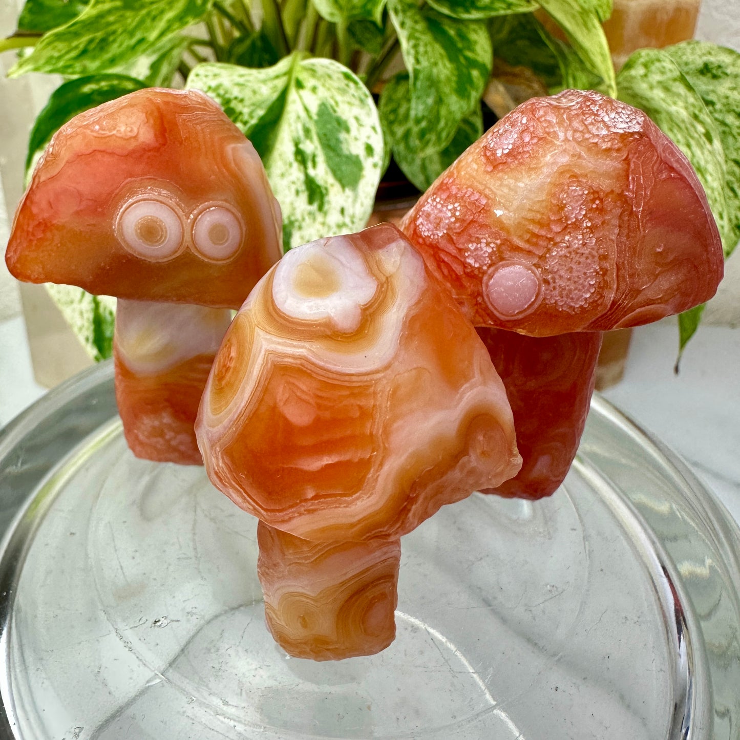 Sunset Fire Gobi Agate Mushrooms — Heat-Treated Desert Magic in Fiery Orange Tones 🍄🔥