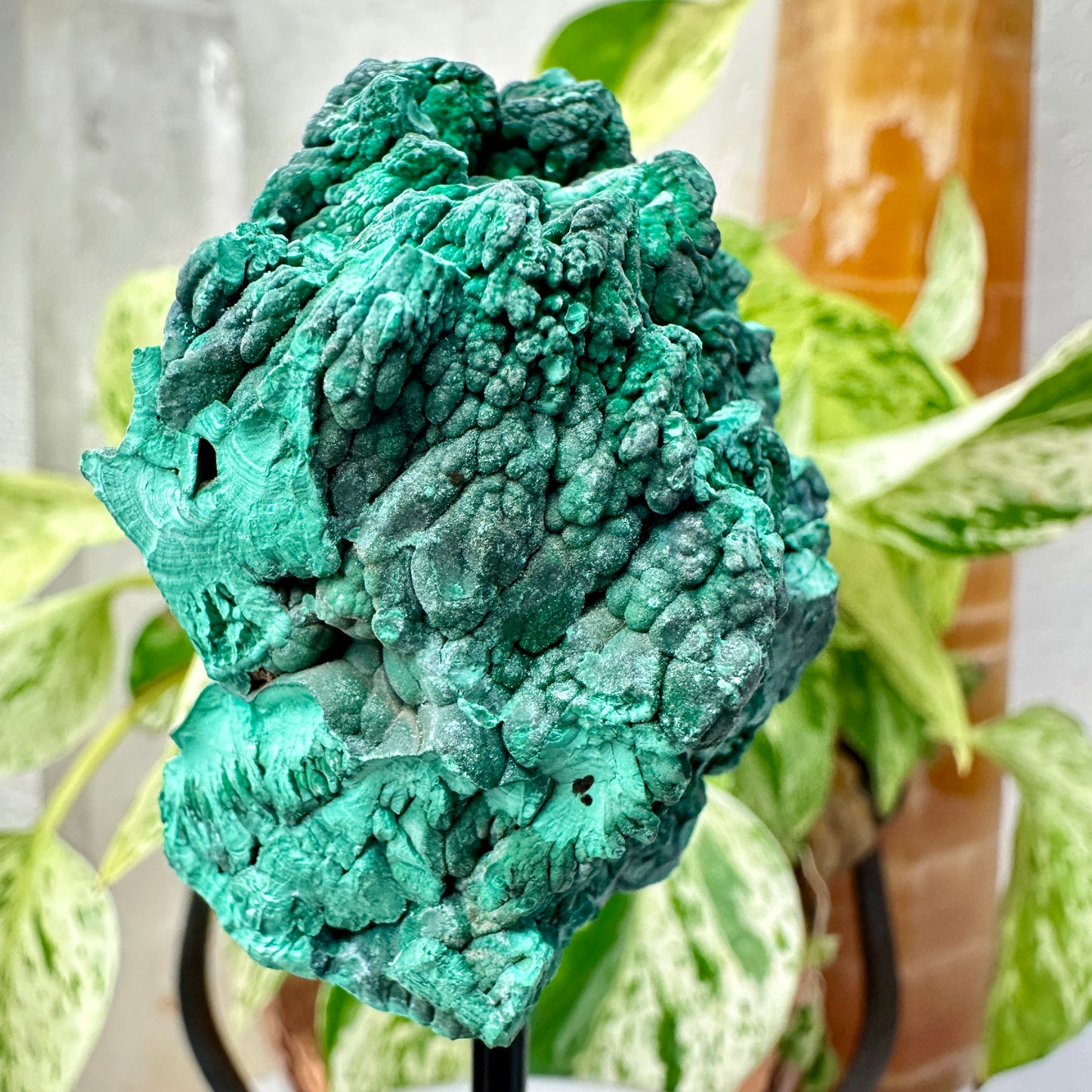 Botryoidal Malachite Specimen with Natural Cave — Mounted Display