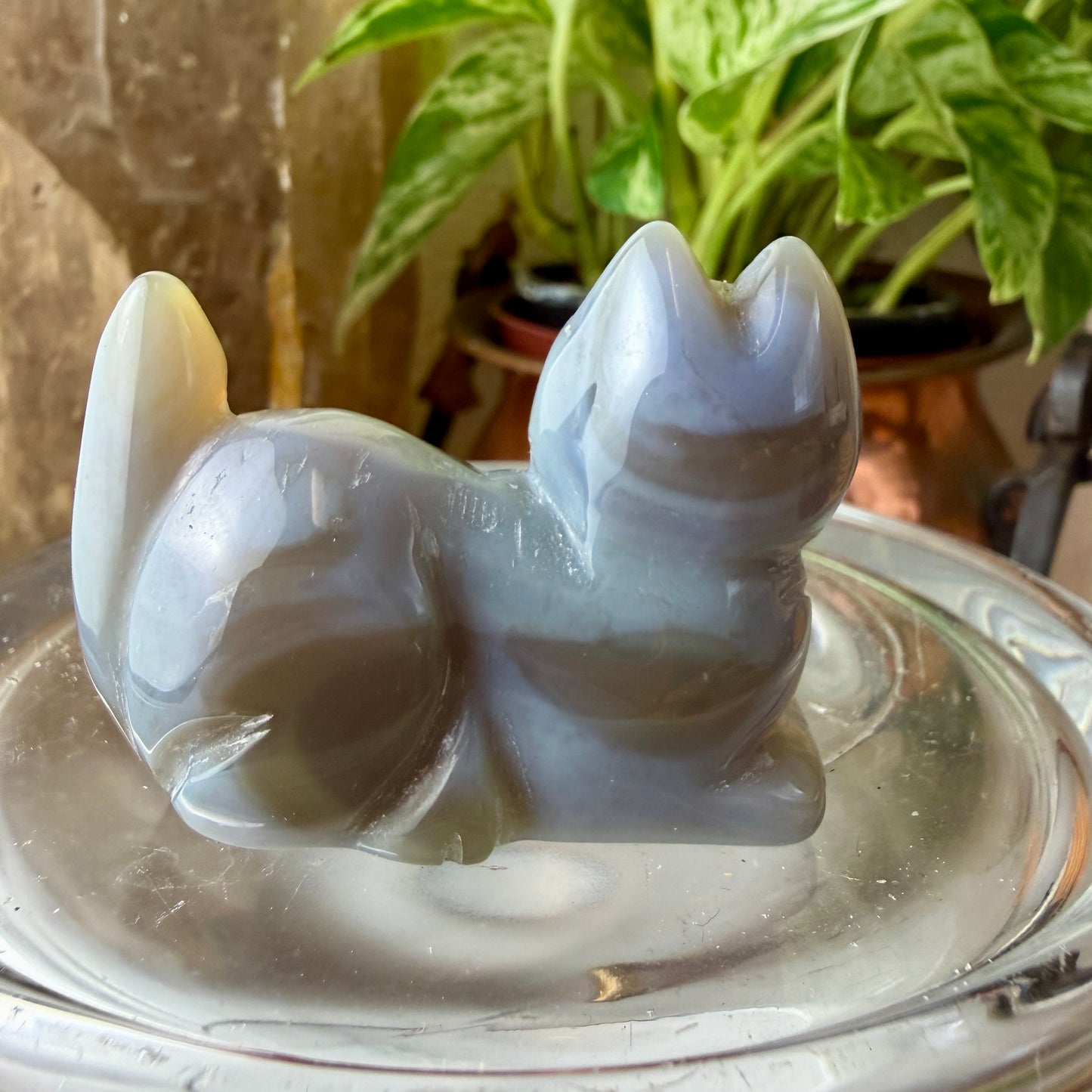 Agate Cat Crystal Carving | Blue Lace Agate Energy & Protection | Unique You-Pick Piece