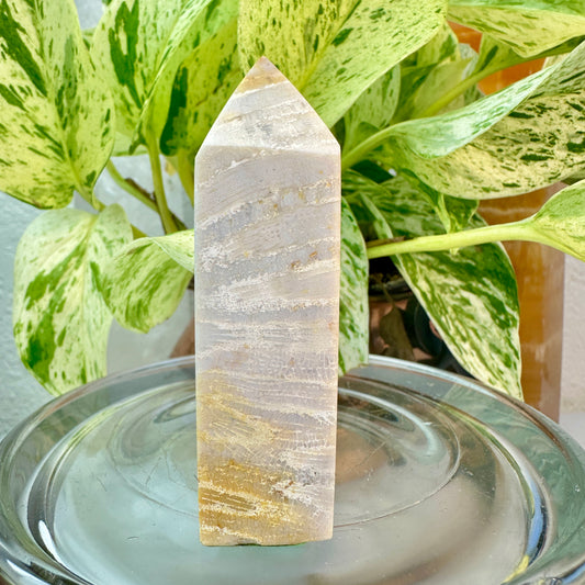 Coral Jasper Tower — 2.8 inch
Grounding | Vitality | Earth Connection