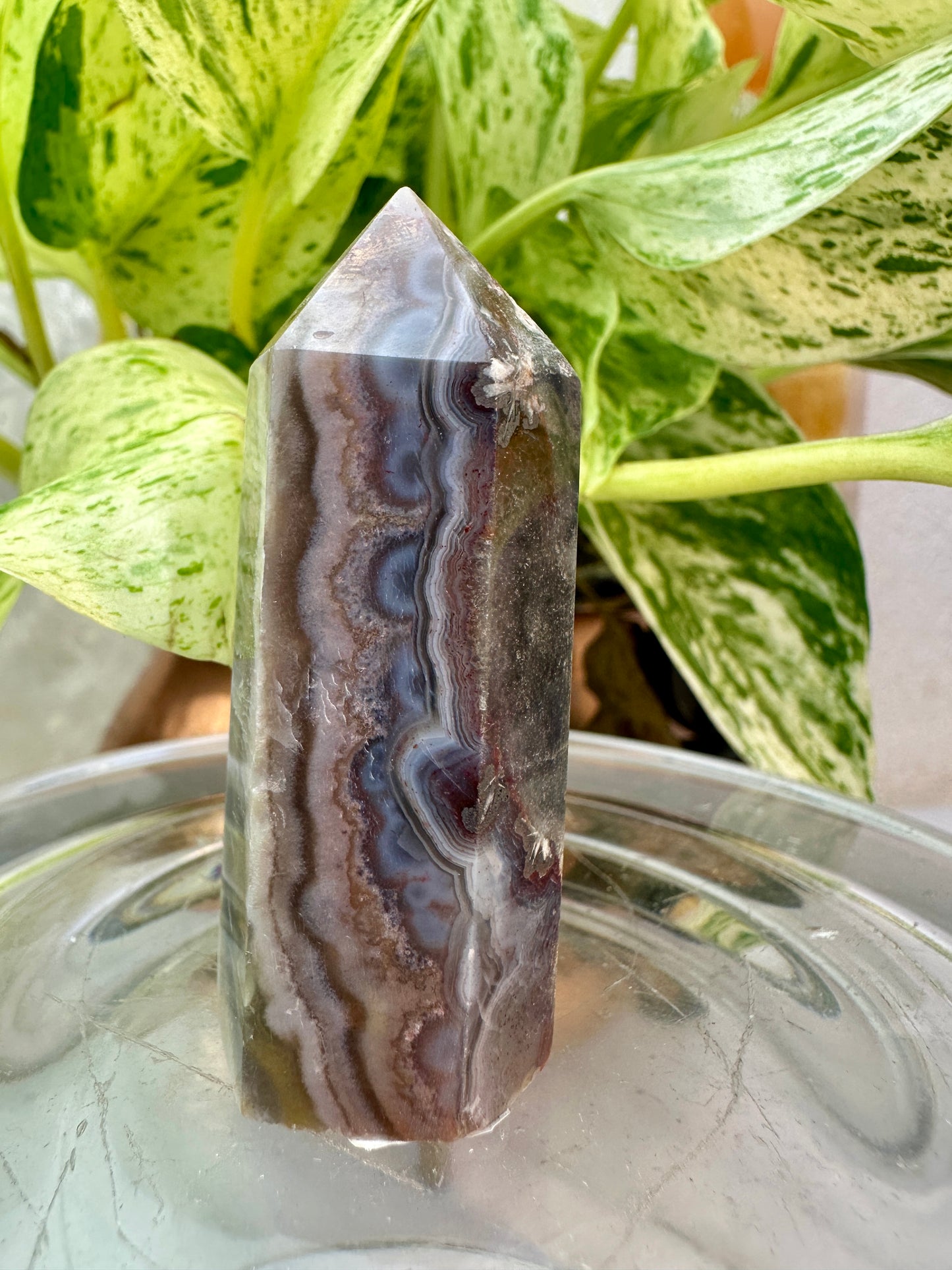Crazy Lace Agate Points – You Pick
Joy | Focus | Inner Stability