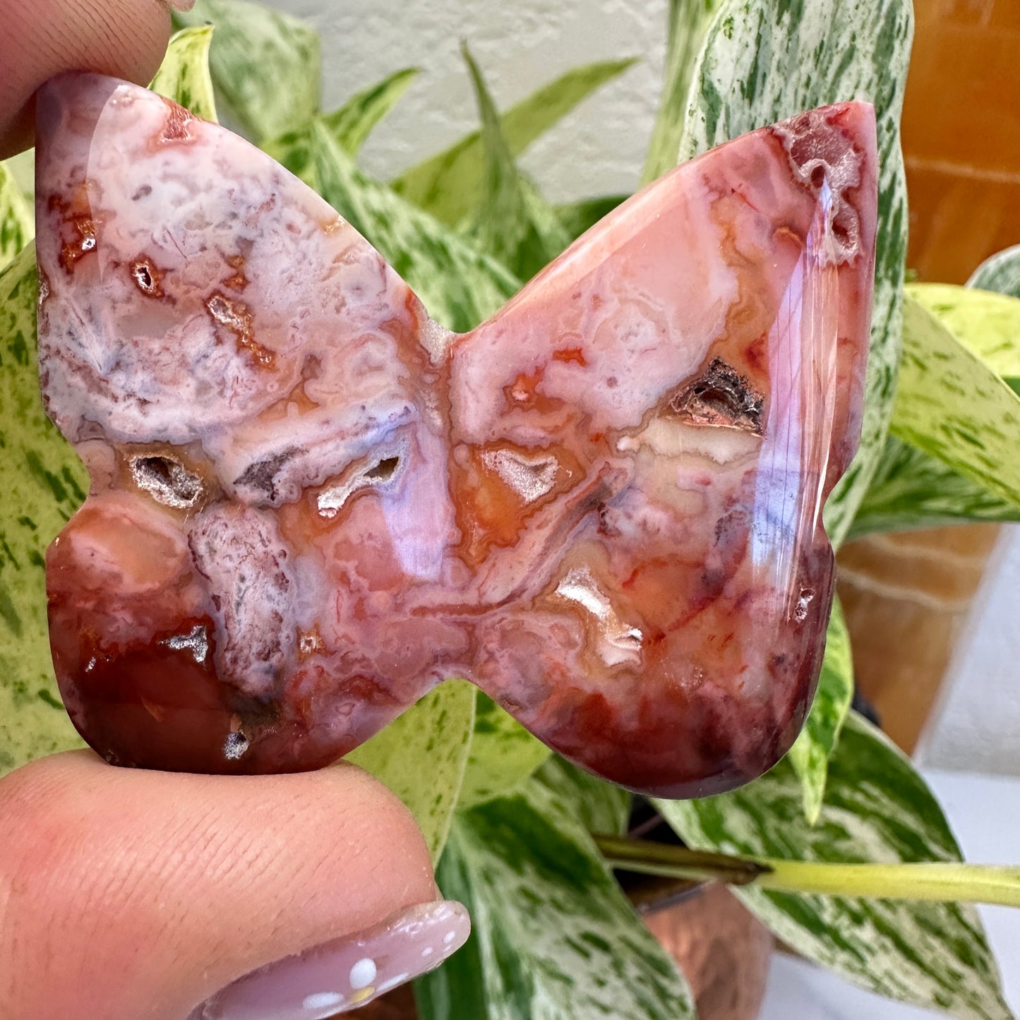 Druzy Carnelian Butterfly - 1.9 inch