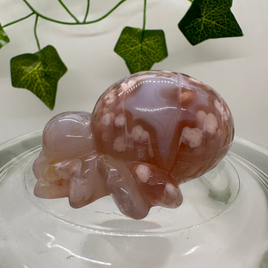 Flower Agate Spider - Katie's Mystic Crystals