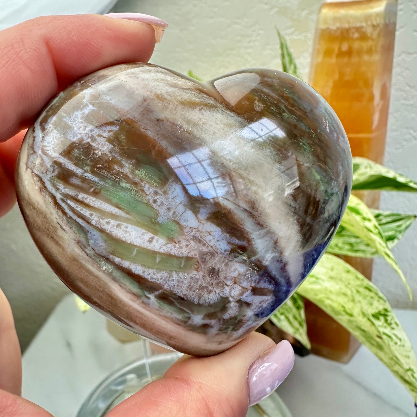 Petrified Wood Heart 6.9oz