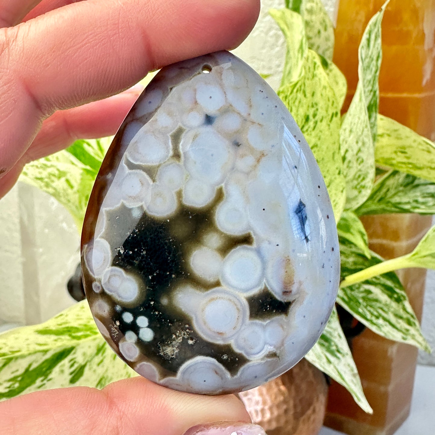 Ocean Jasper Cabs