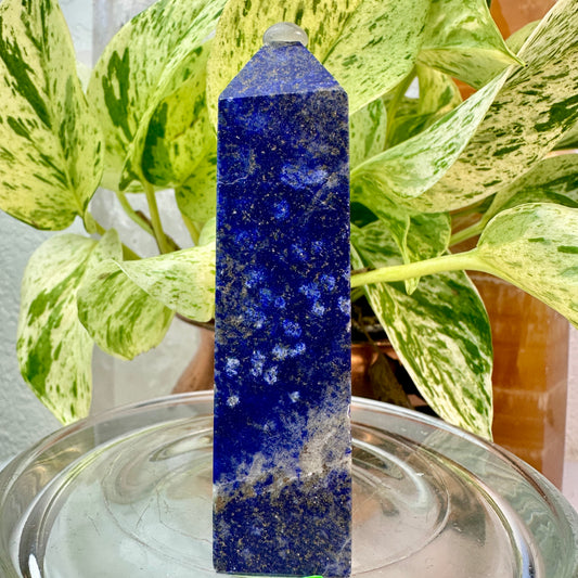 Lapis Lazuli Tower — 3.4 inch
Wisdom | Truth | Inner Vision
✨ Imperfect — Small Chip on Corner ✨