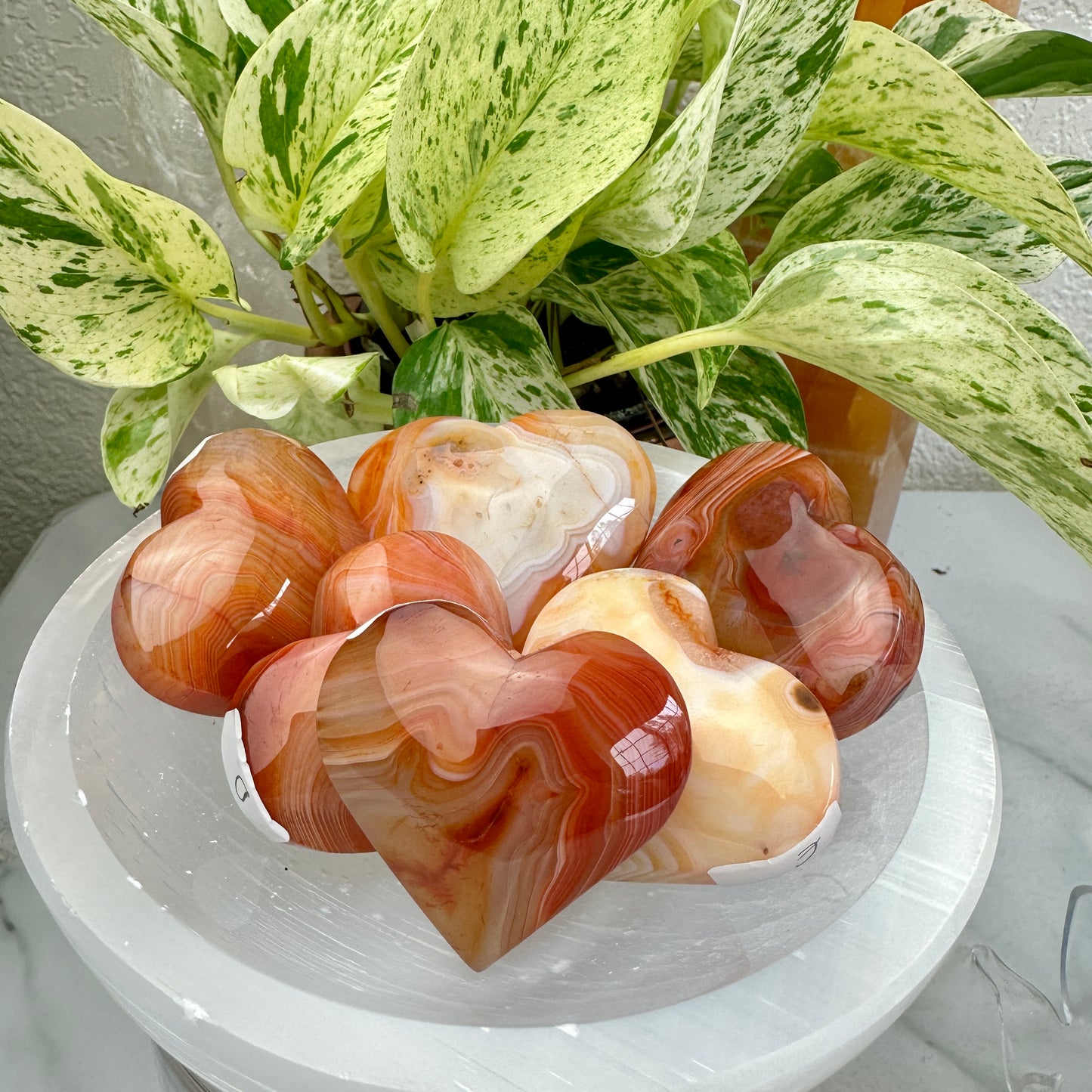Carnelian Agate Hearts