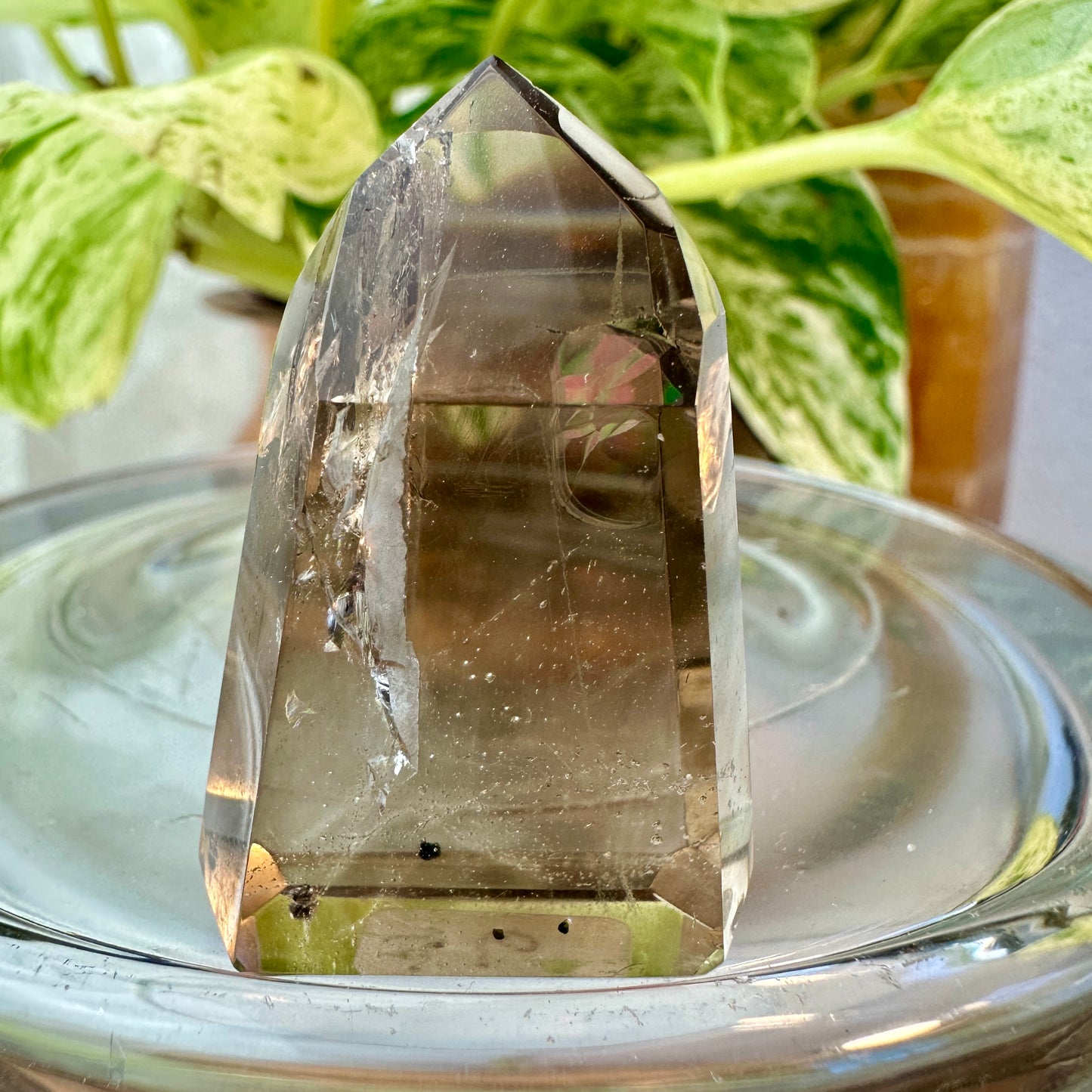 Smoky Quartz Points — High Quality | From Brazil
Grounding | Protection | Transformation - Katie's Mystic Crystals