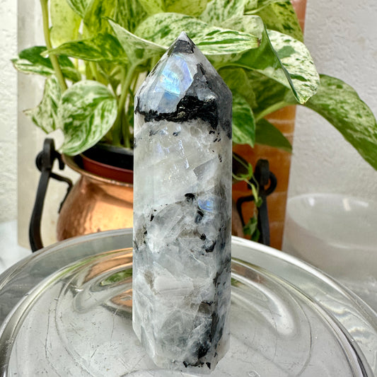 Rainbow Moonstone Points — 2.6–3.1 inches
Intuition | Protection | Emotional Balance