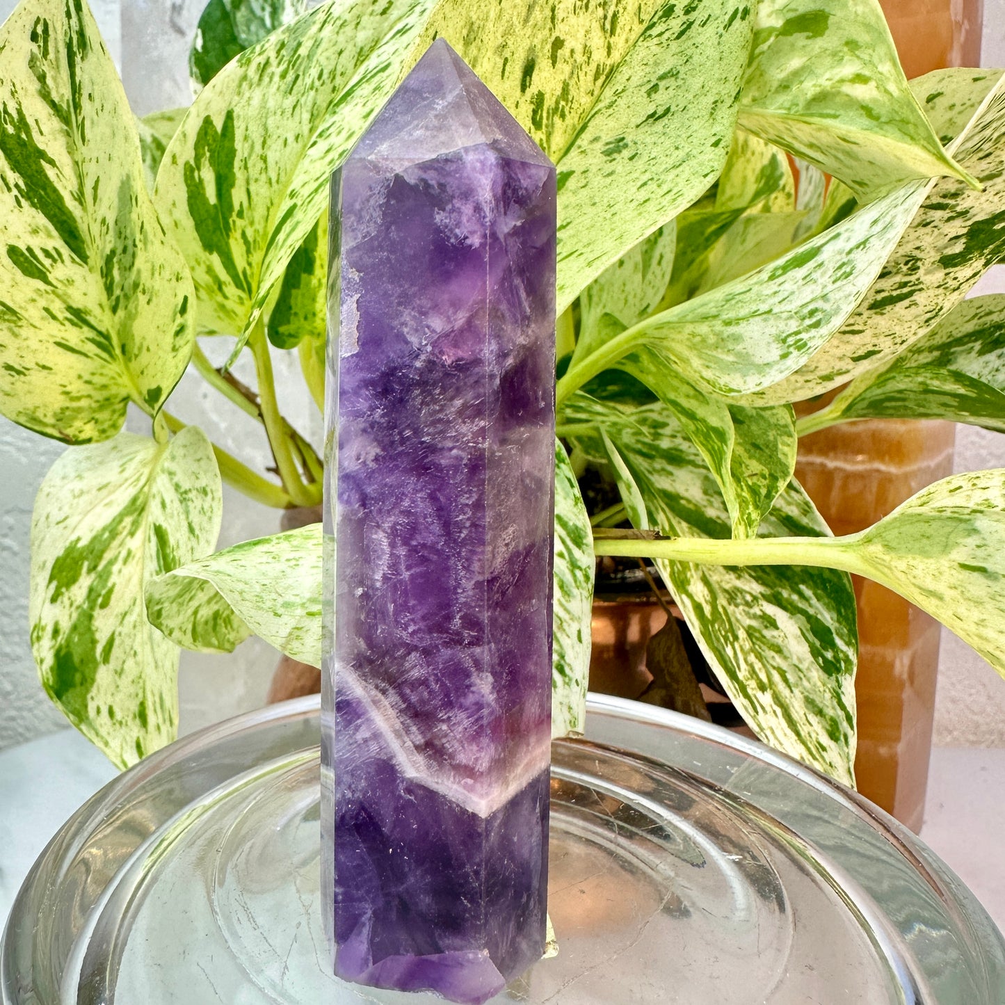 Set of 2 Amethyst Points — 3.1 & 3.9 inch
Spiritual Calm | Protection | Higher Awareness