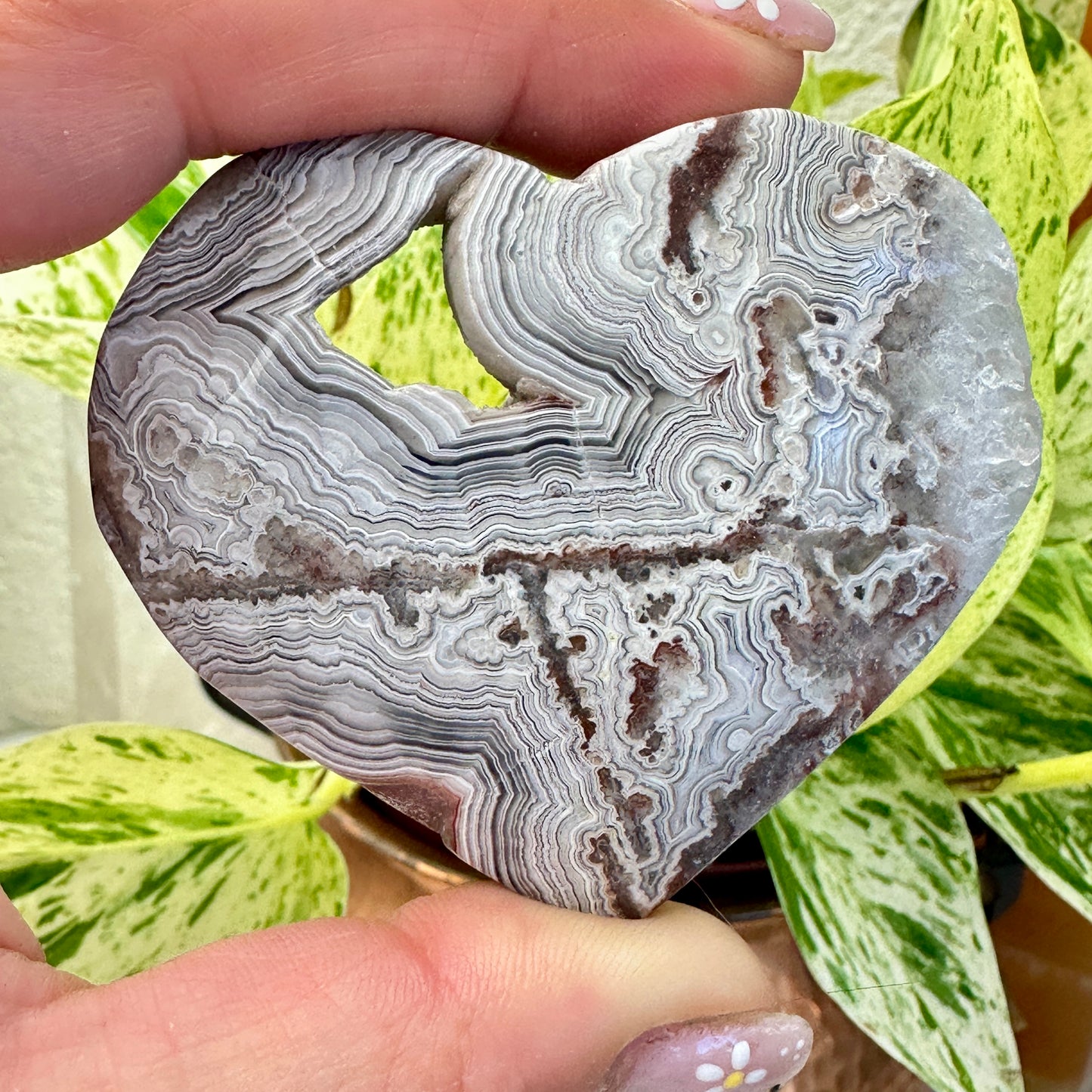 Druzy Mexican Crazy Lace Agate Hearts