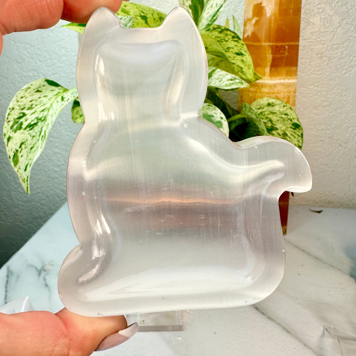 Satin Spar Bowls — Coffin, Cat, Heart, and Triple Moon
Energy Cleansing | Aura Purification | Lunar Harmony