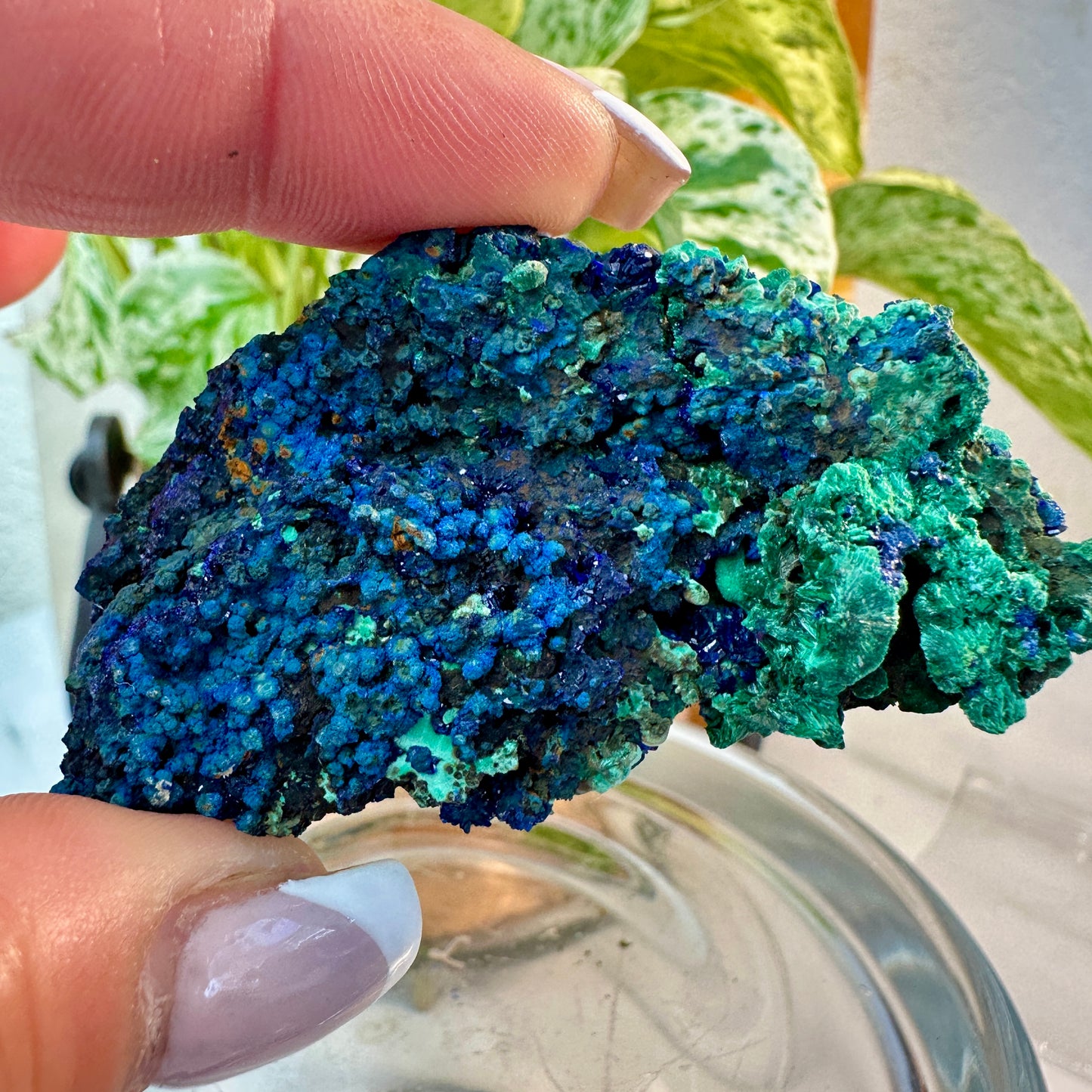 Azurite & Malachite Specimen — 36 grams | Morocco
Third Eye Activation | Transformation | Heart Healing
