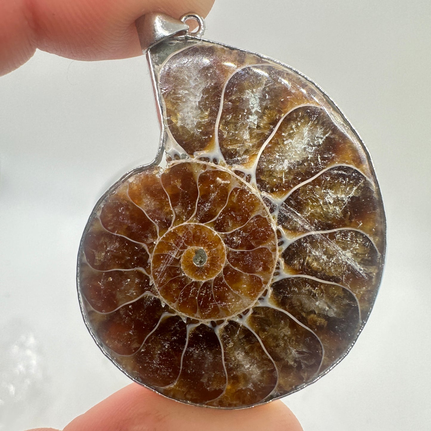 Ammonite Pair Pendants