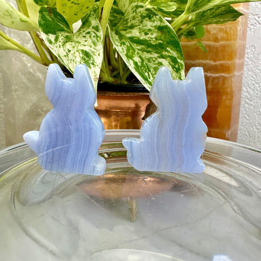 Blue Lace Agate Cat - Katie's Mystic Crystals