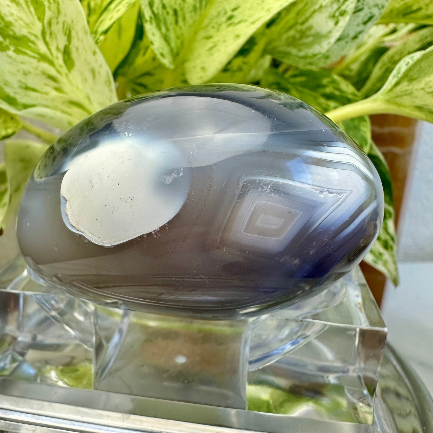 Orca Agate Palm Stone (E)