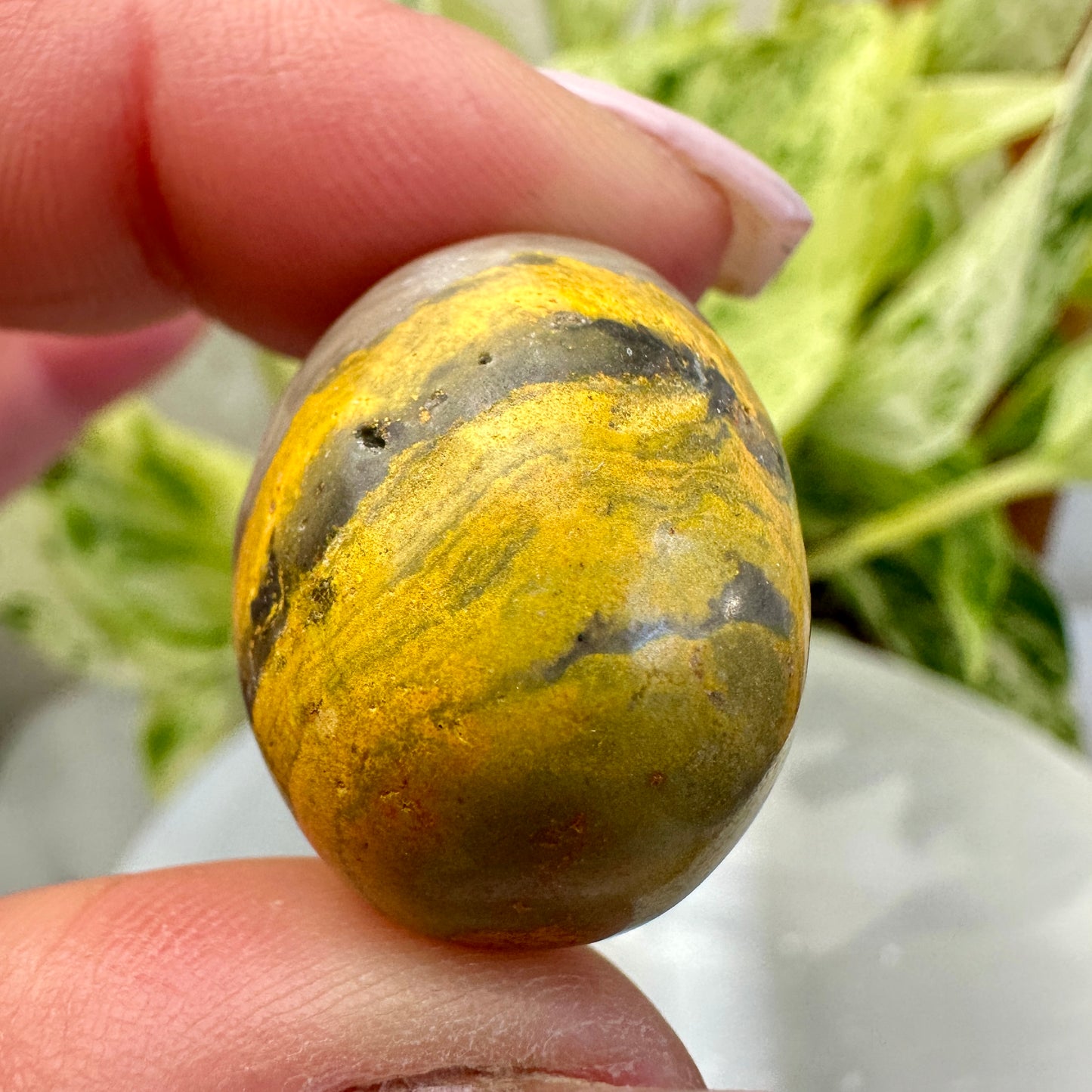 Bumblebee Jasper Tumbles - Katie's Mystic Crystals