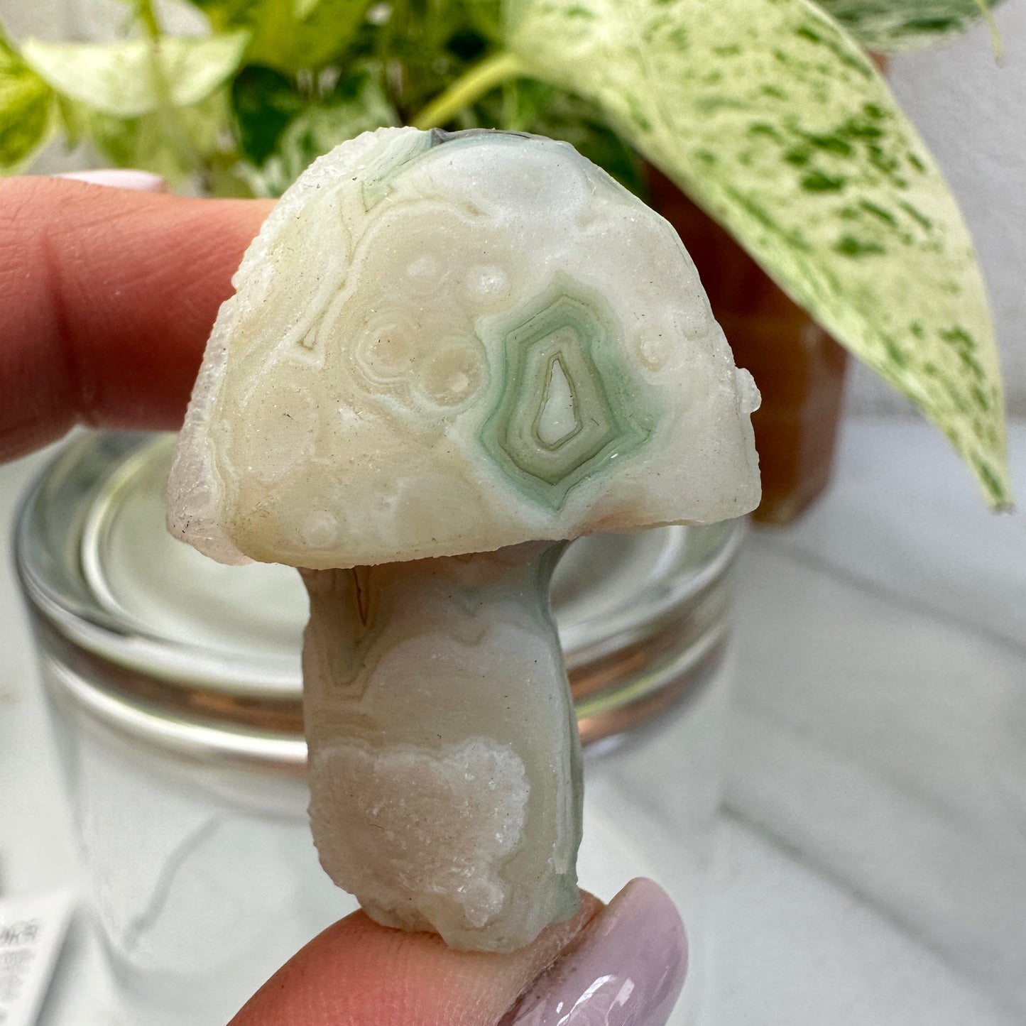 Gobbi Agate Mushroom
Stability | Inner Strength | Ancient Earth Energy