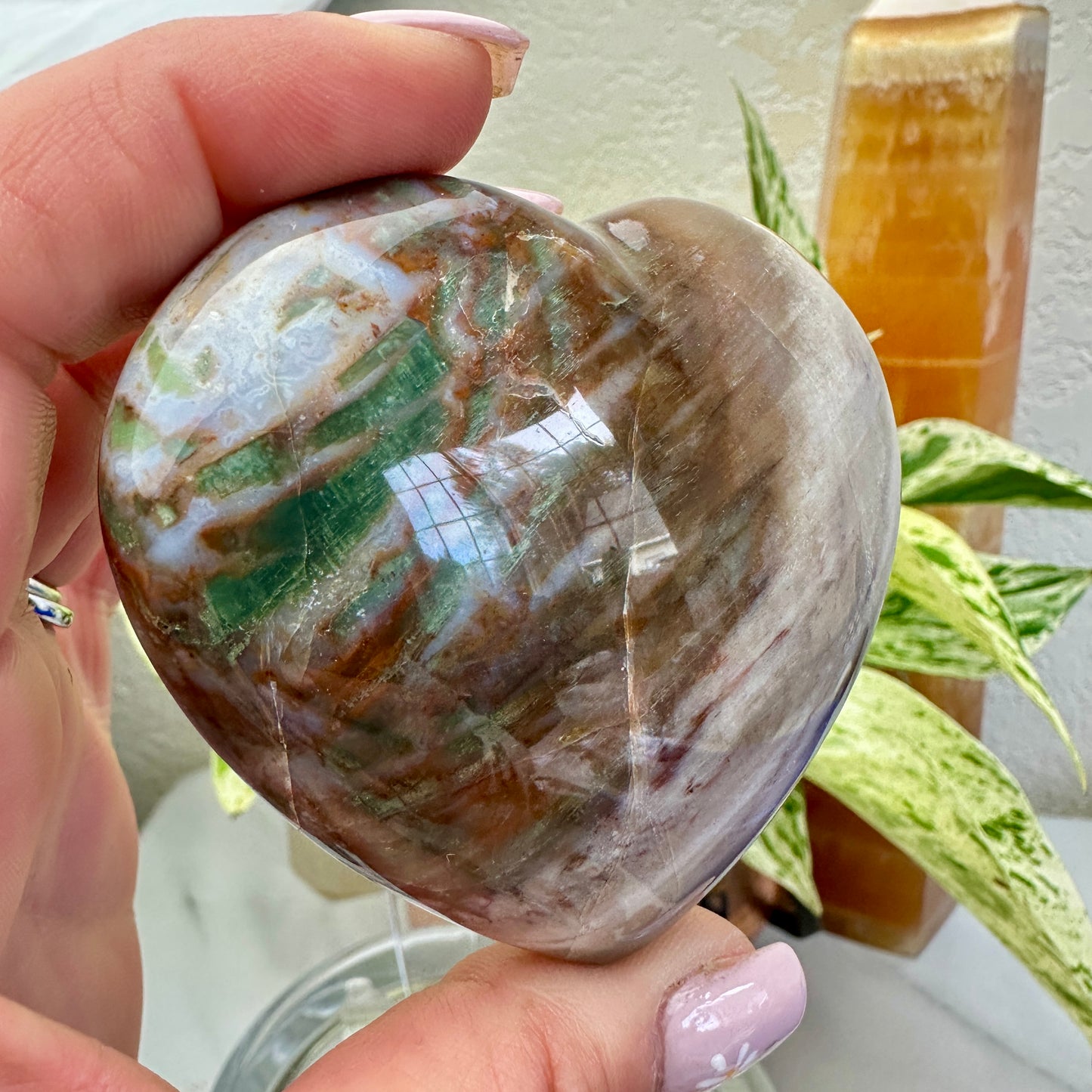 Petrified Wood Heart 6.9oz