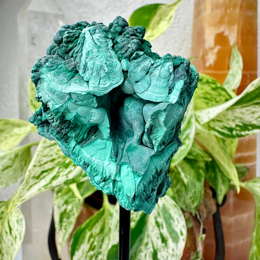 Botryoidal Malachite Specimen with Natural Cave — Mounted Display