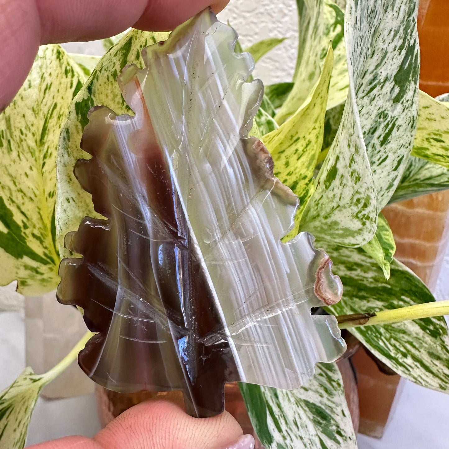 Agate Leaves - You Chose - Katie's Mystic Crystals