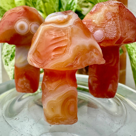 Sunset Fire Gobi Agate Mushrooms β Heat-Treated Desert Magic in Fiery Orange Tones ππ₯