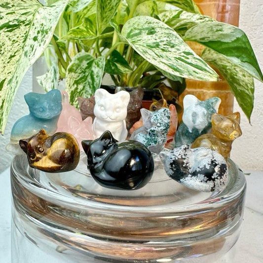 tos-useast5-i-omjb5zjo8w-tx/8ee4c82cdcb944b2808532fb8f9d326e