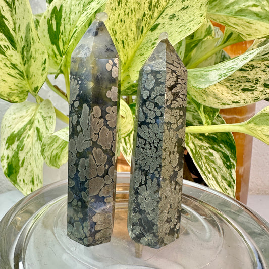 Marcasite Flower Agate Points — 3.1–3.4 inch - Katie's Mystic Crystals