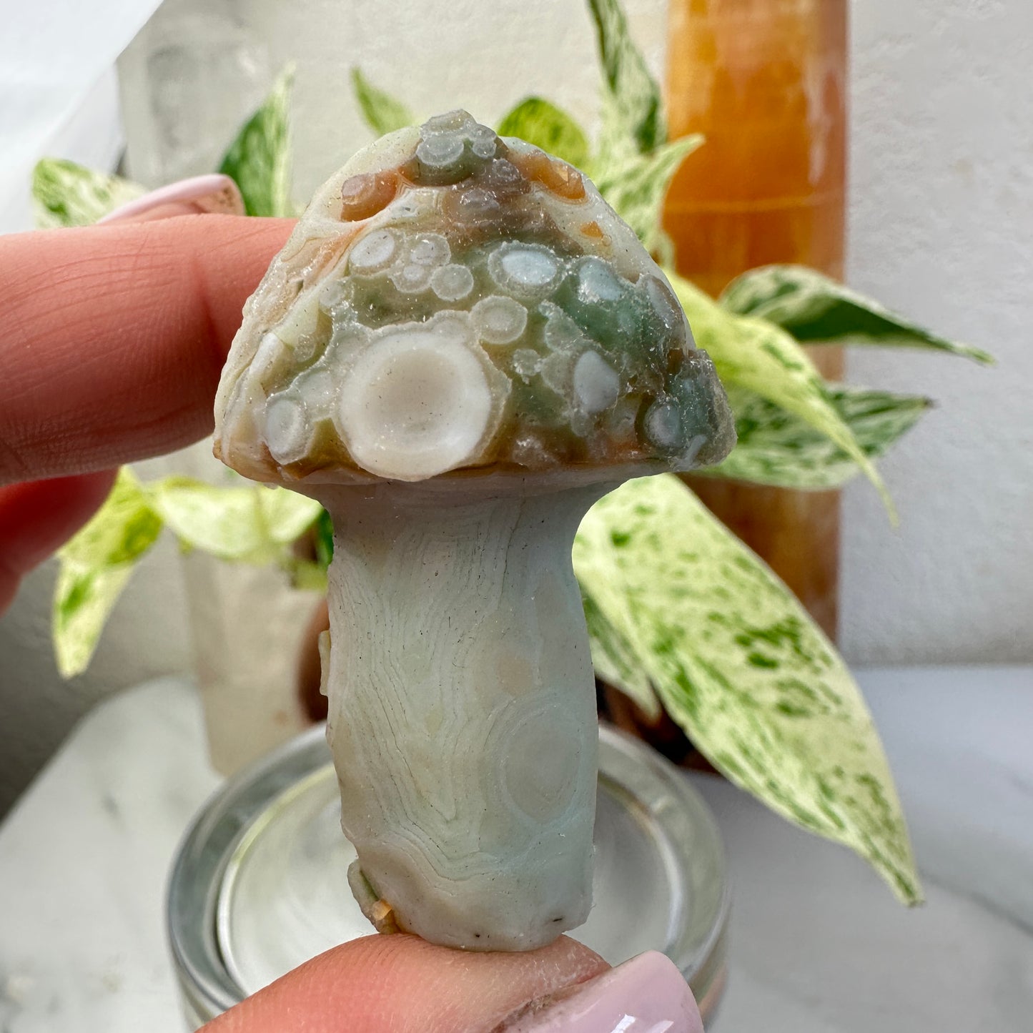 Gobbi Agate Mushroom
Stability | Inner Strength | Ancient Earth Energy