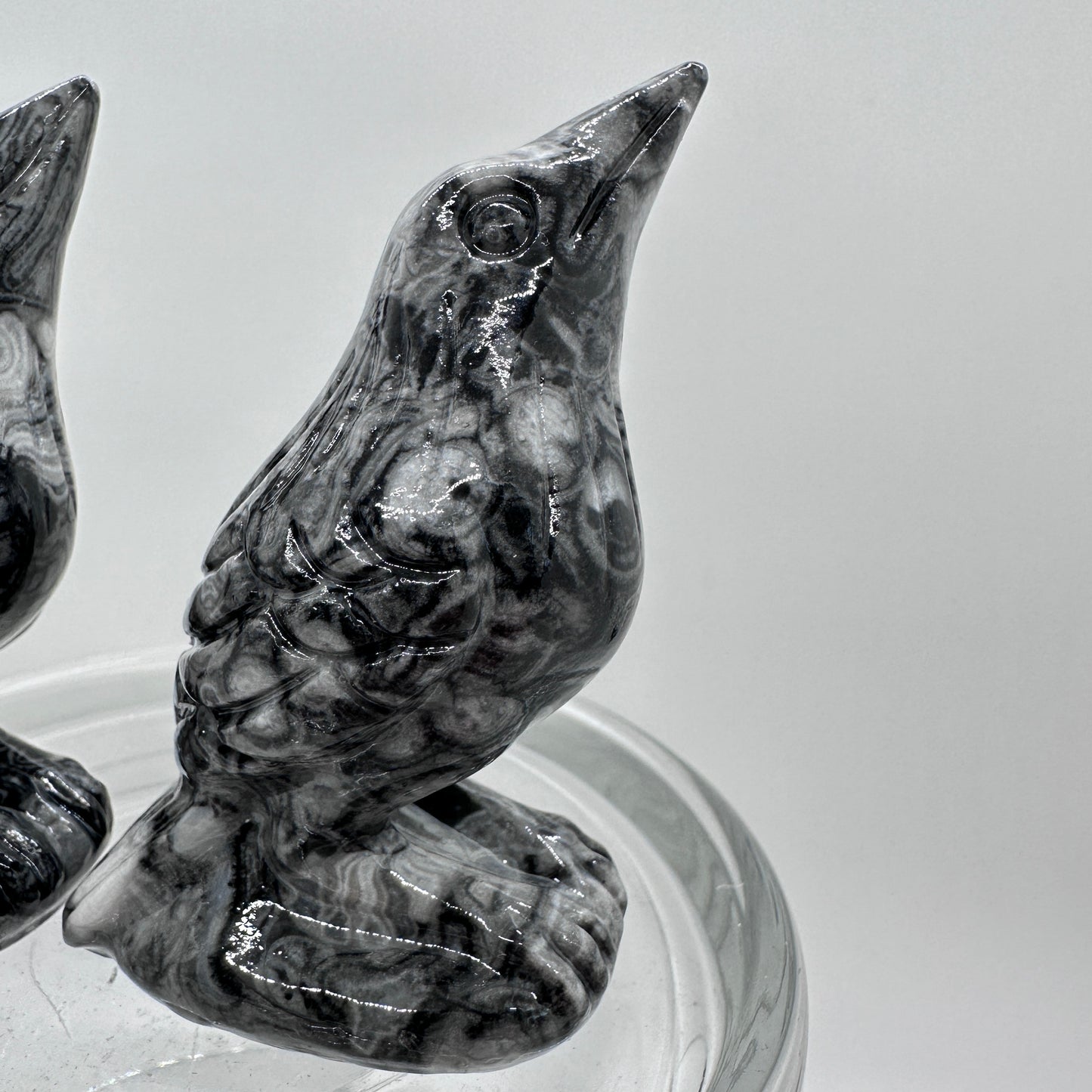 Criniod Fossil Baby Crow