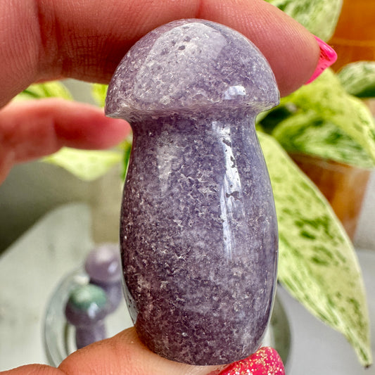 Grape Agate Mushrooms - Katie's Mystic Crystals