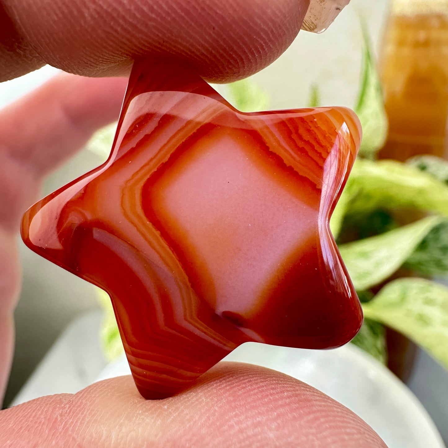 Banded Carnelian Stars — 1 inch
Motivation | Vitality | Creative Fire